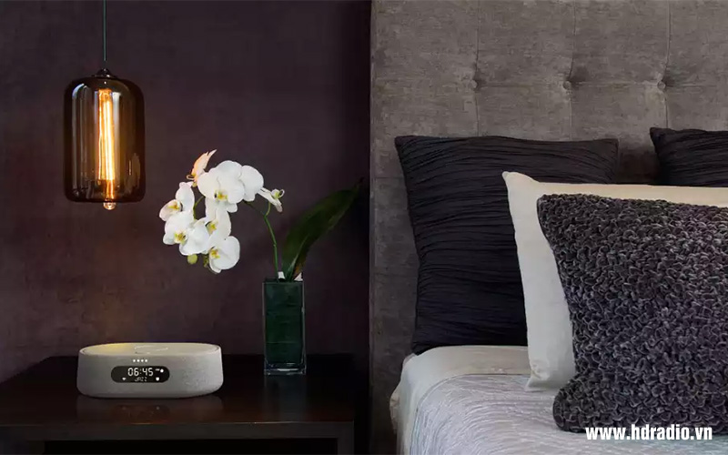 Loa Harman Kardon Citation Oasis 