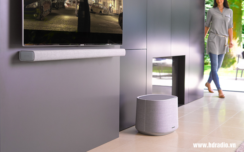 sử dụng loa Harman Kardon Citation Sub