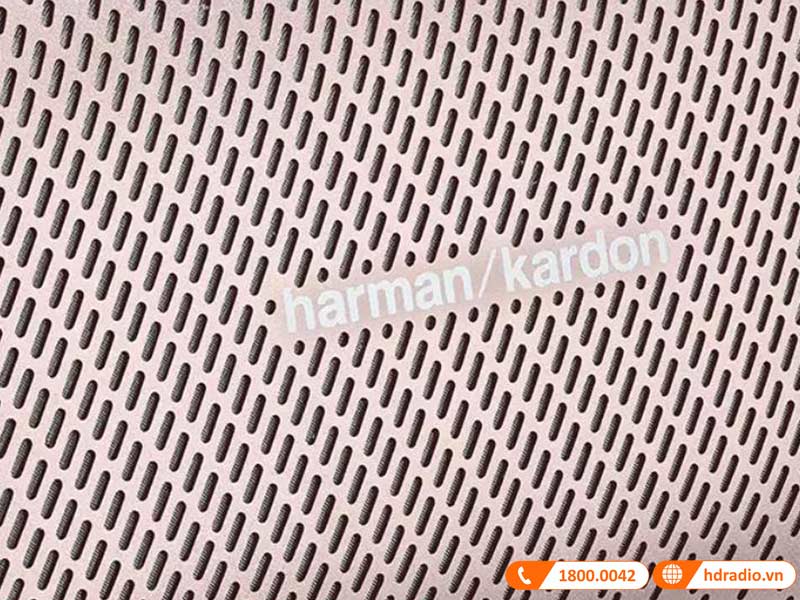 mat truoc loa harman kardon esquire mini 2