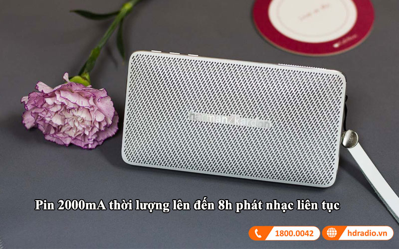 pin loa esquire mini