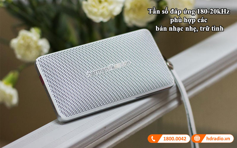 am thanh loa esquire mini