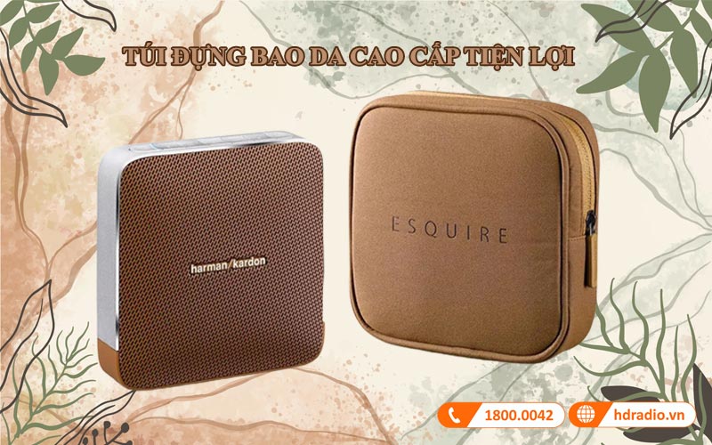 tui dung loa esquire