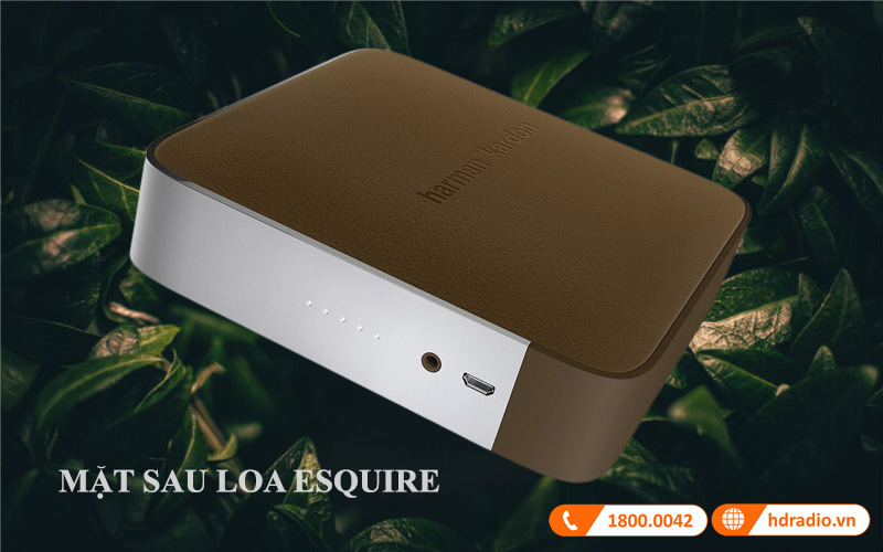 mat sau loa harman esquire