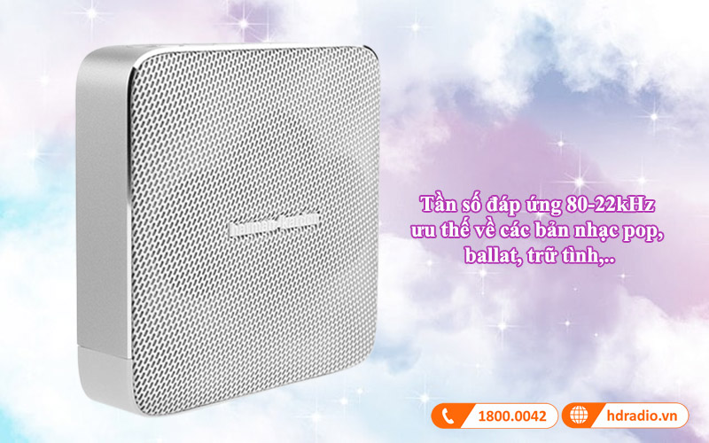 tan so dap ung loa esquire