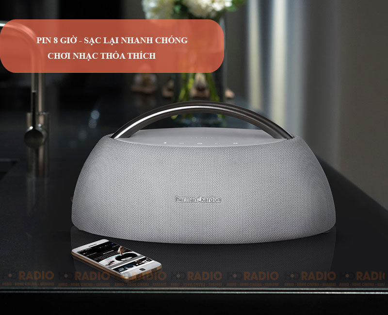 pin Loa Harman Kardon Go play mini 