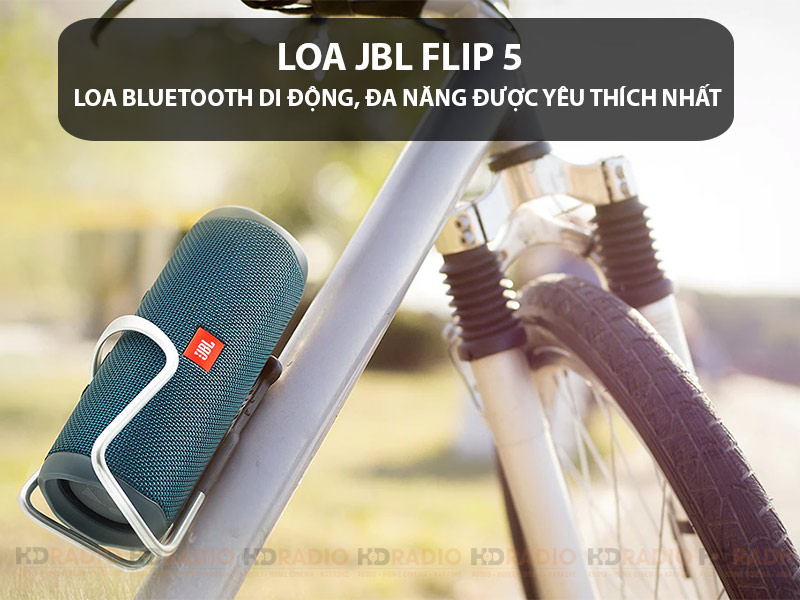 Loa JBL Flip 5 chinh hang