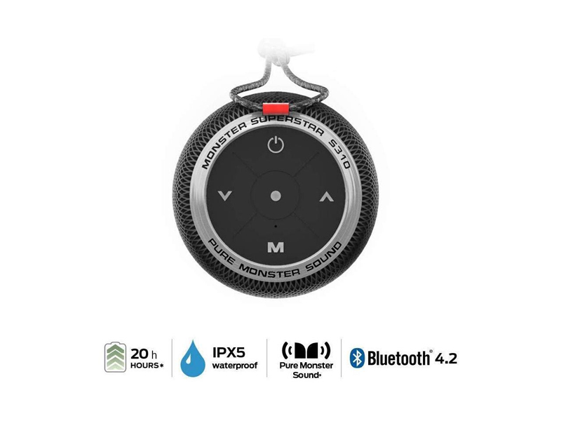 Loa Monster S310