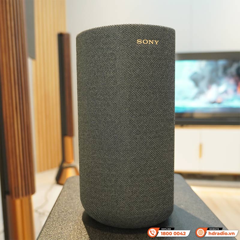 Loa Sony SA-RS5, loa vòm không dây, 180W-2
