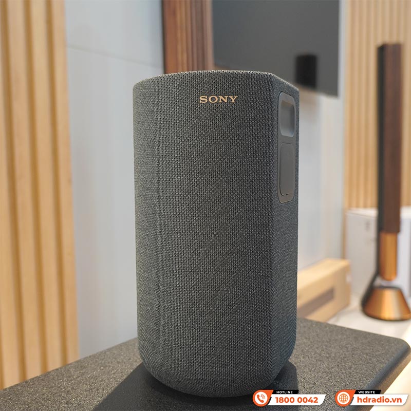 Loa Sony SA-RS5, loa vòm không dây, 180W-3