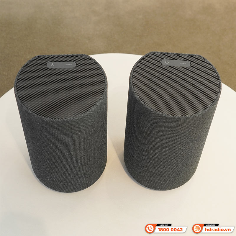 Loa Sony SA-RS5, loa vòm không dây, 180W-6