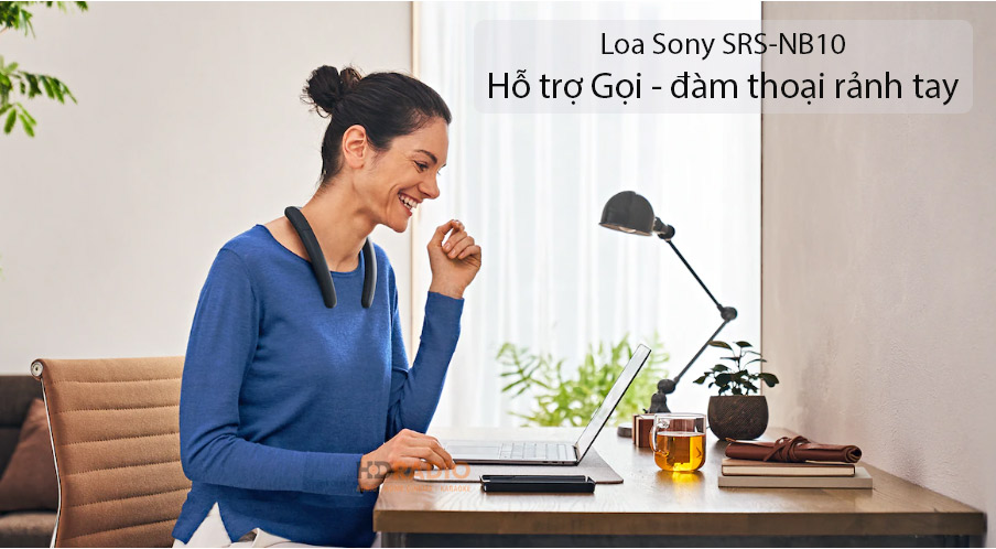Loa Sony SRS-NB10
