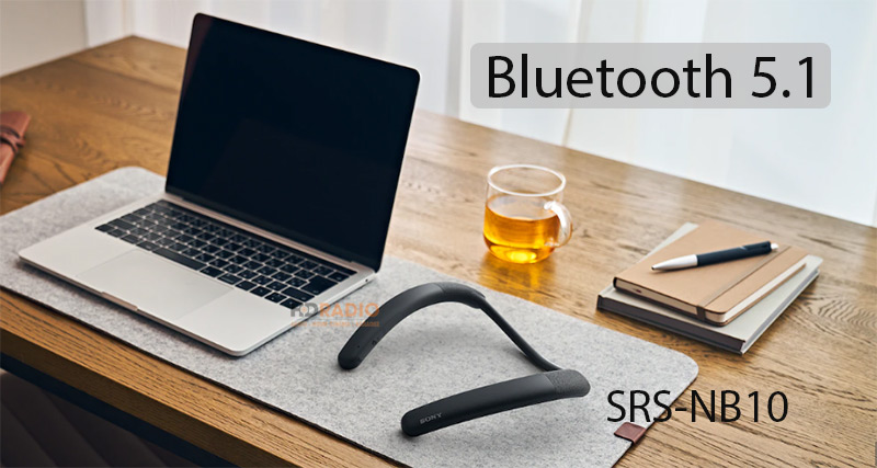 Loa Sony SRS-NB10