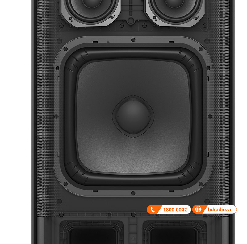 woofer loa sony srs xv900