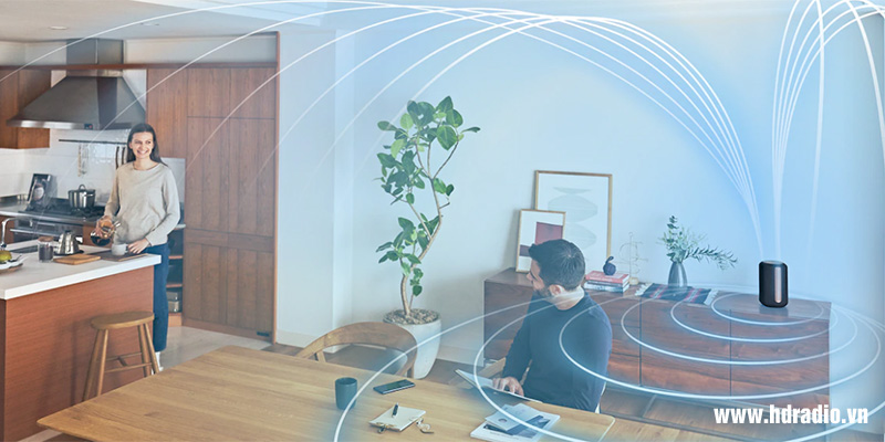 Loa bluetooth đa phòng Sony SRS RA3000 