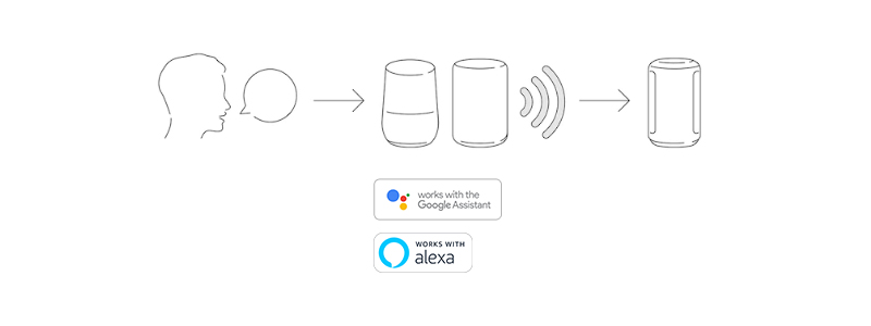 Loa bluetooth Sony SRS RA3000 
