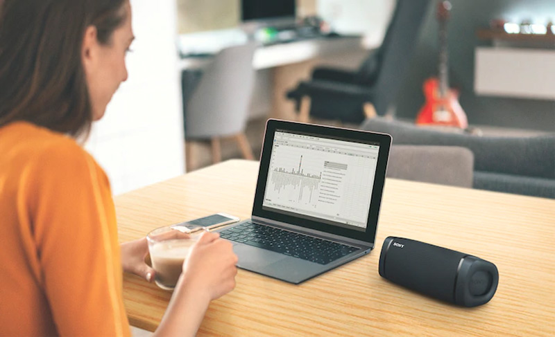 Loa bluetooth SONY SRS XB33