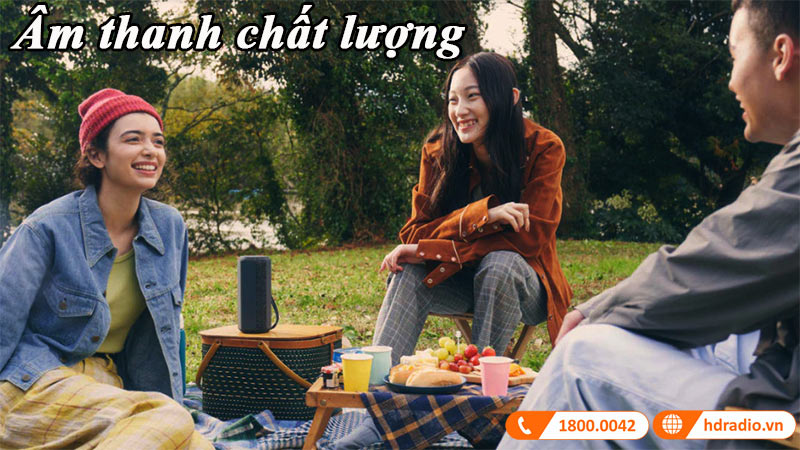 cau truc am thanh loa sony srs-xe200