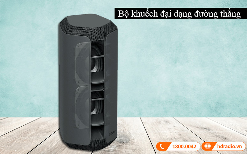 Loa Sony SRS-XE300