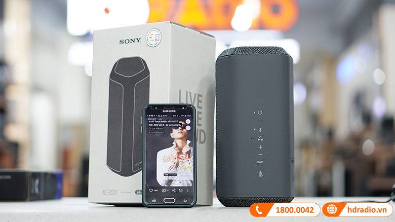 Loa Sony SRS-XE300