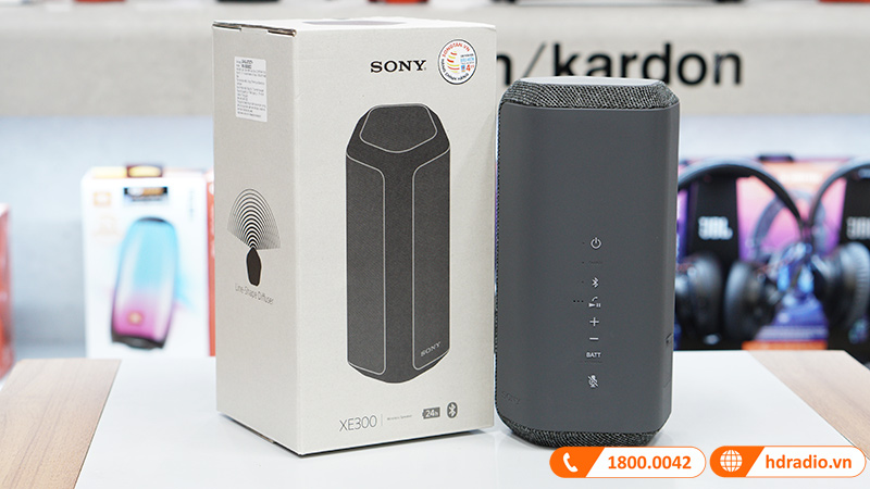 Loa Sony SRS-XE300