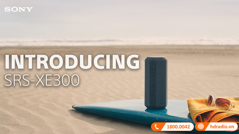 Loa Sony SRS-XE300