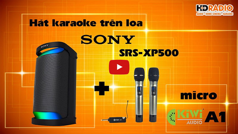 Loa Sony SRS XP500