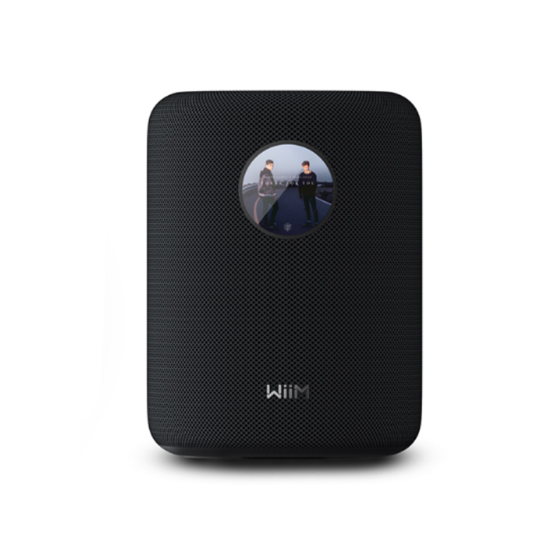 Loa Wiim Sound, Bluetooth 5.3, Chromecast, Wi-Fi 6E