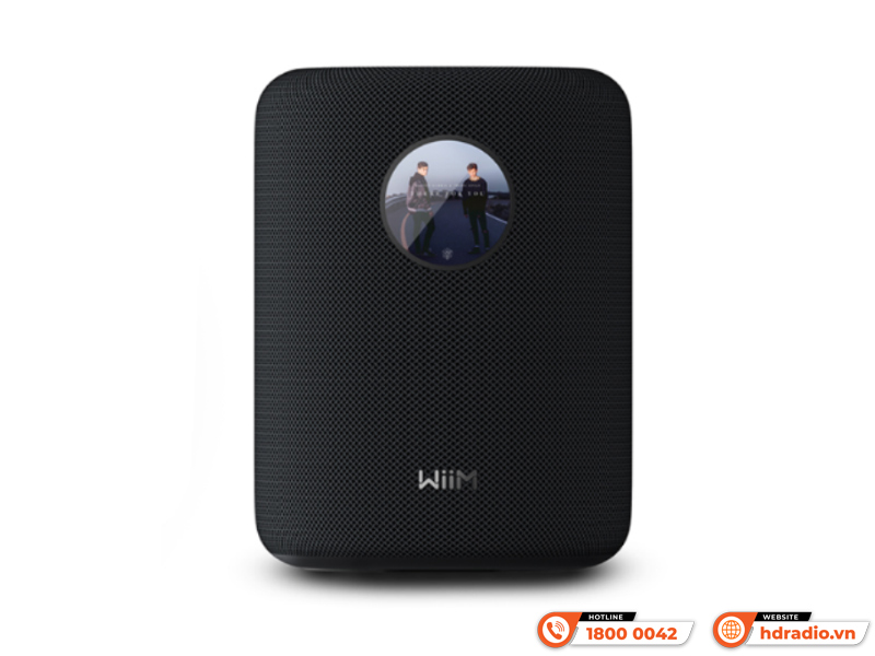 Loa Wiim Sound