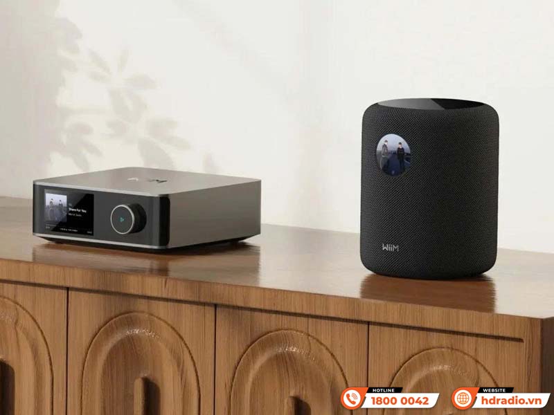 Loa Wiim Sound