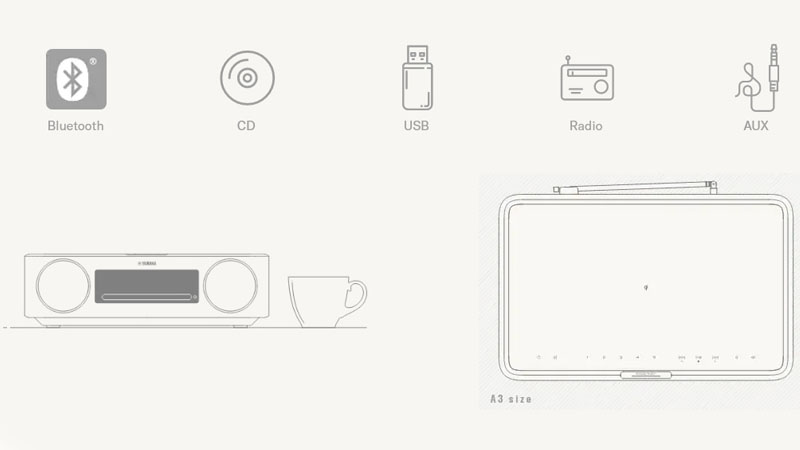 cổng kết nối trên loa