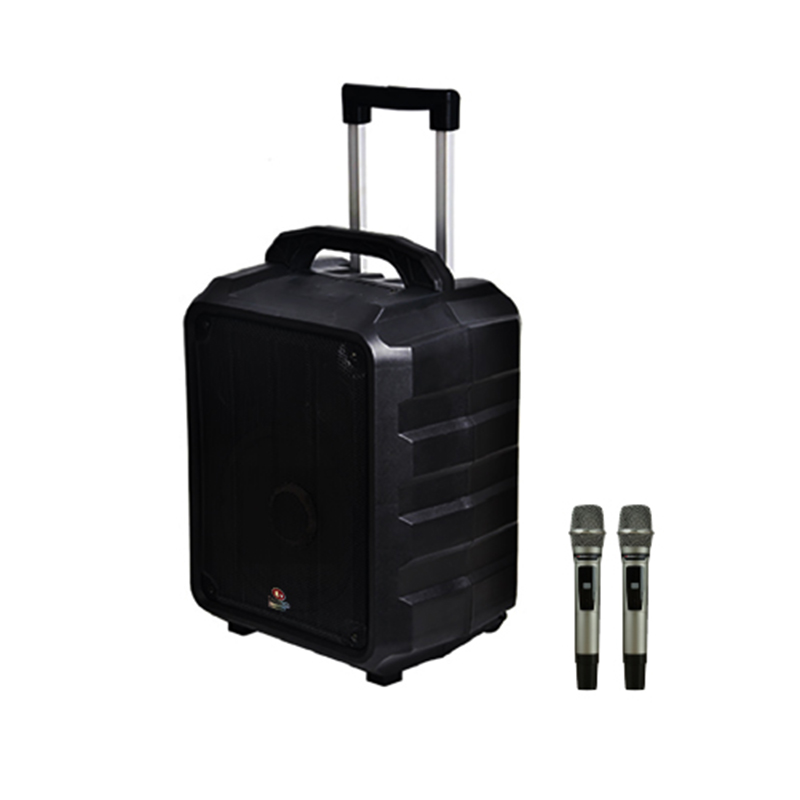 Loa Boston Acoustic H12P