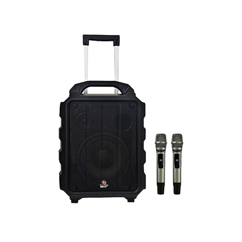 Loa Boston Acoustic H8P