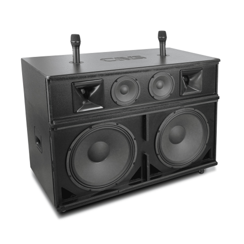Loa kéo CAVS PS218, Bass 50cm, Công suất 800W, Bluetooth, Kèm 2 Mic-4