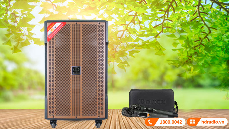 2 micro khong day sang trong