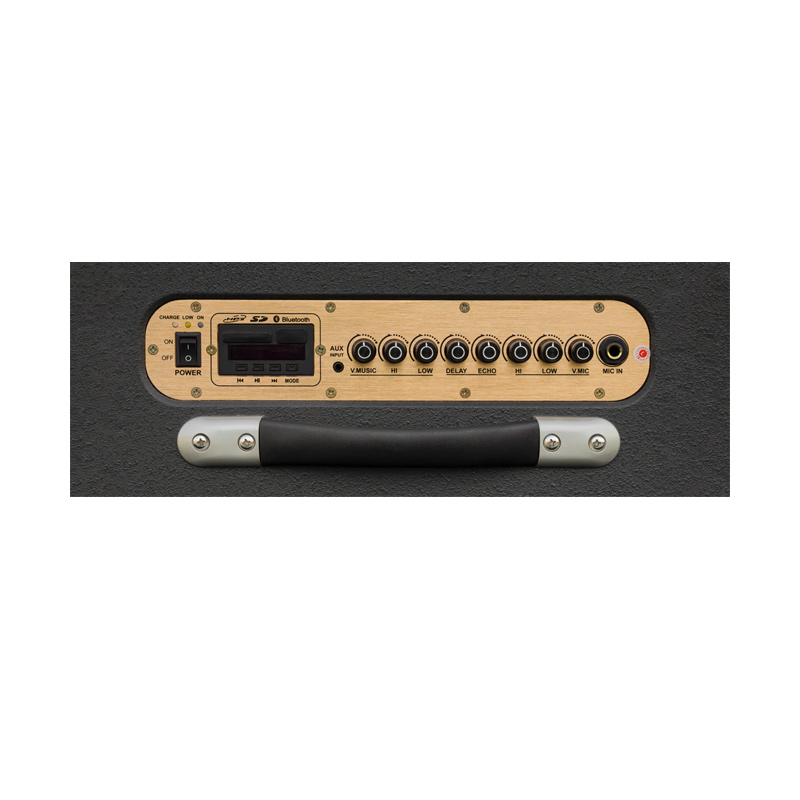 Loa Dalton PS-K10A Luxury, Bass 25cm, Công suất 300W, Bluetooth 5.2, kèm 2 Mic-3