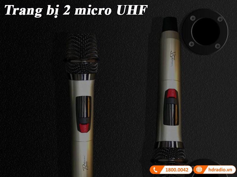 trang bi 2 micro khong day