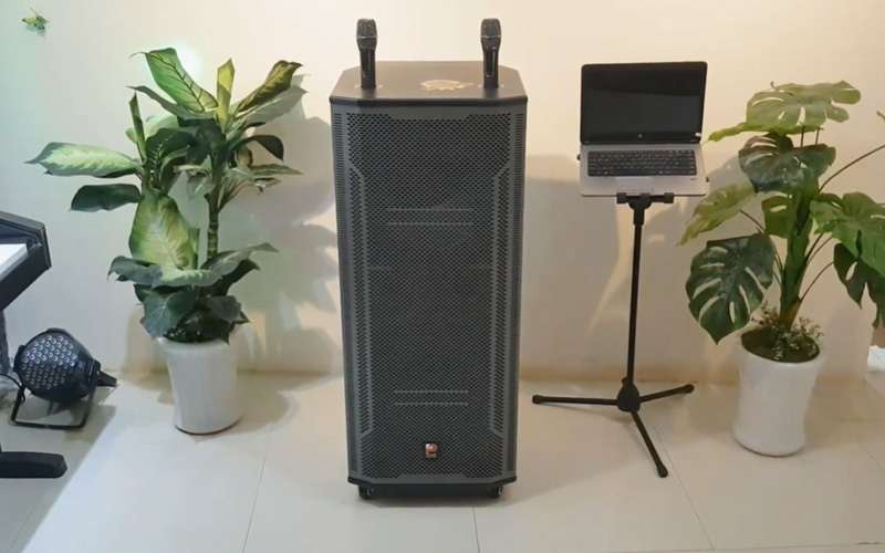 Loa keo Prosing W215B