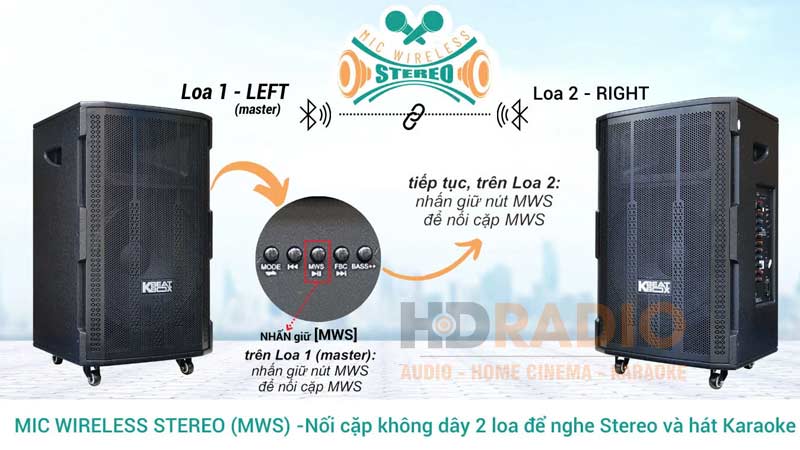 Ghép đôi 2 Loa Acnos 15S1