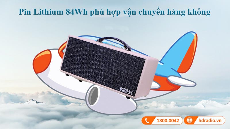 pin theo tiêu chuẩn hàng không