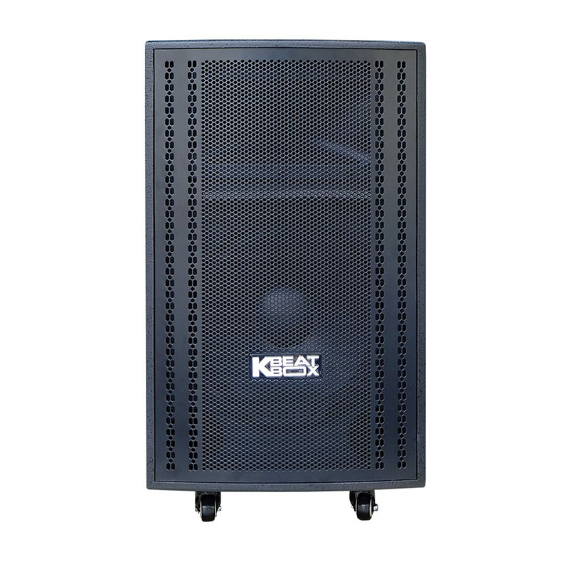 Loa Acnos CB3050 Max-1