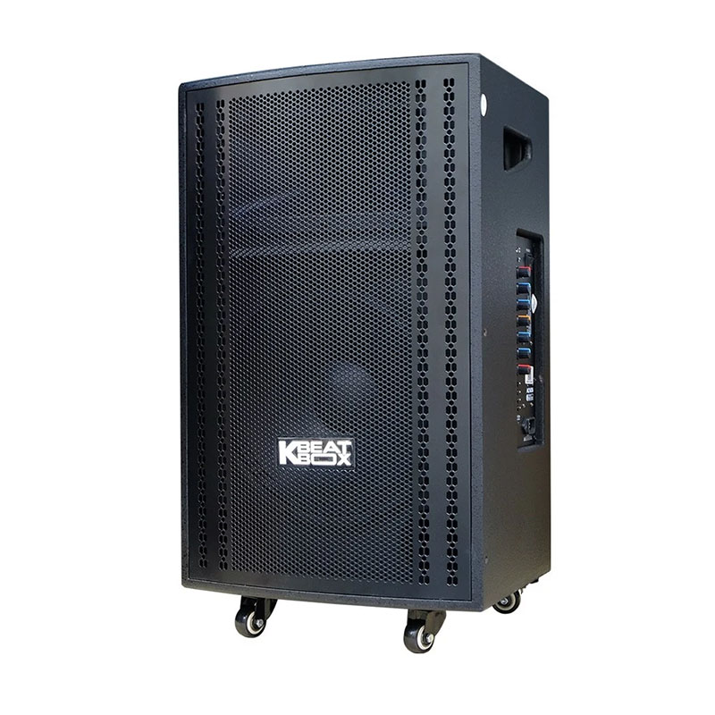 Loa Acnos CB3050 Max-2