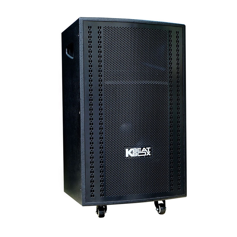 Loa Acnos CB3050 Max-3