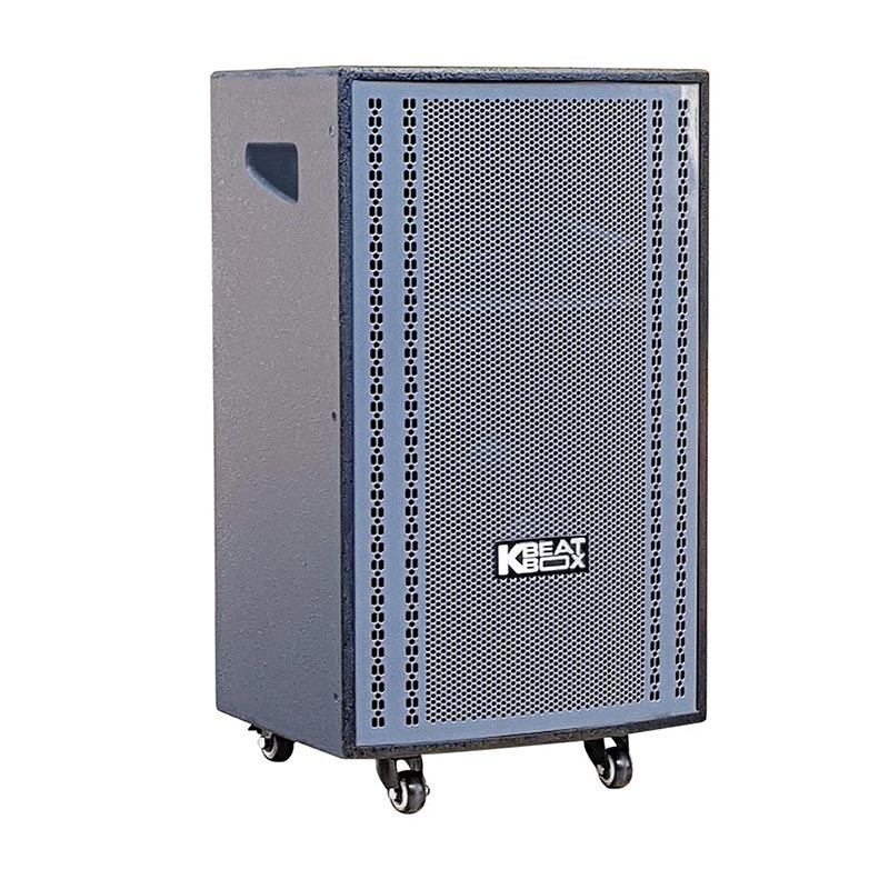 Loa Acnos CB3051Max-2