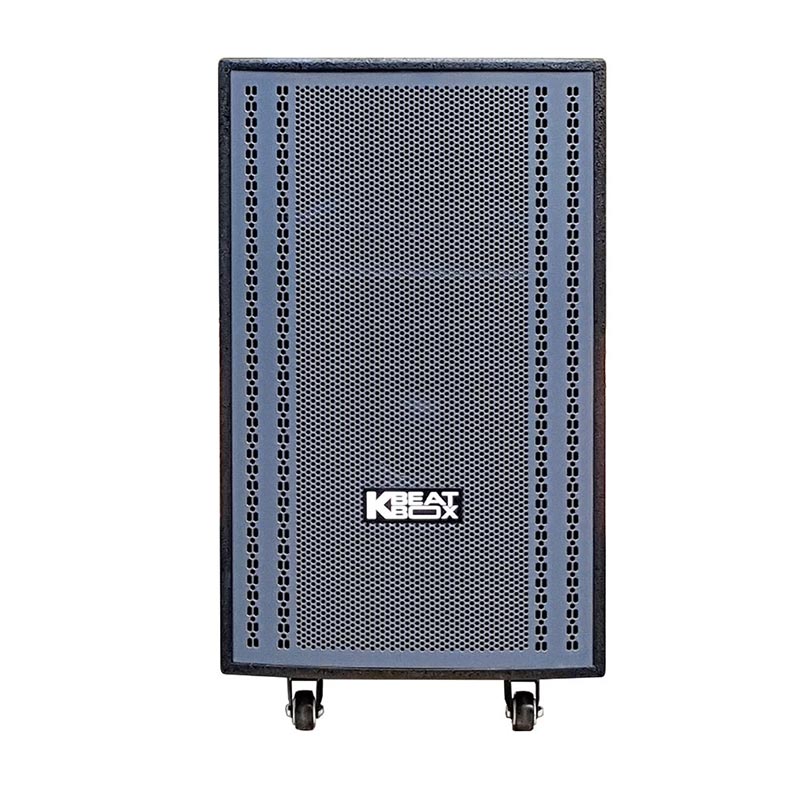 Loa Acnos CB3051Max-1