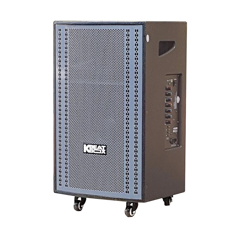 Loa Acnos CB3051Max-3