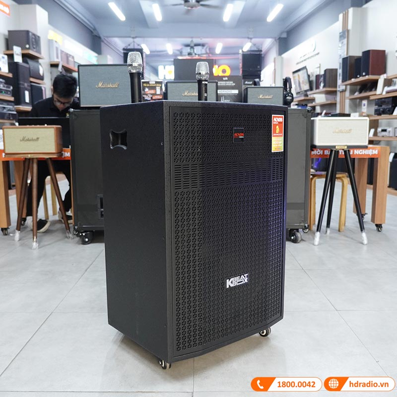 Loa kéo Acnos CB501GD-2