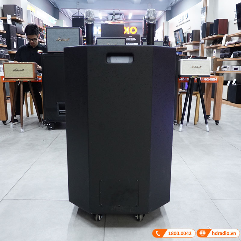 Loa kéo Acnos CB501GD-5