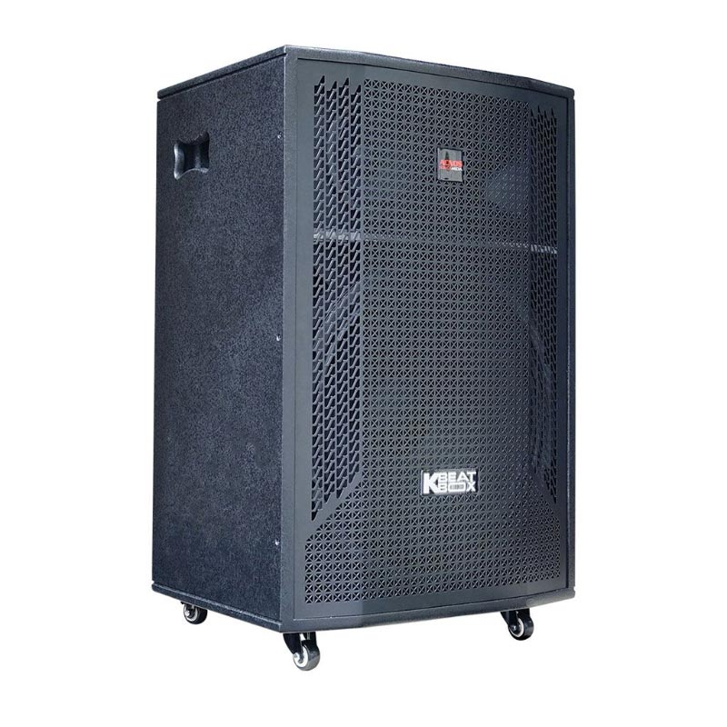 Loa Acnos CB51Neo, Bass 50cm, Công suất 250W, Kèm 2 micro-4