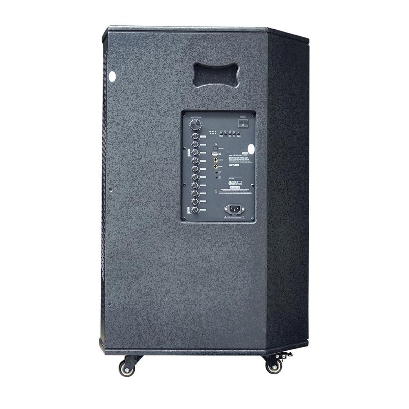 Loa Acnos CB51Neo, Bass 50cm, Công suất 250W, Kèm 2 micro-3