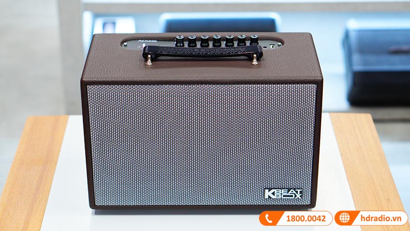 Mặt trên loa Acnos CS160